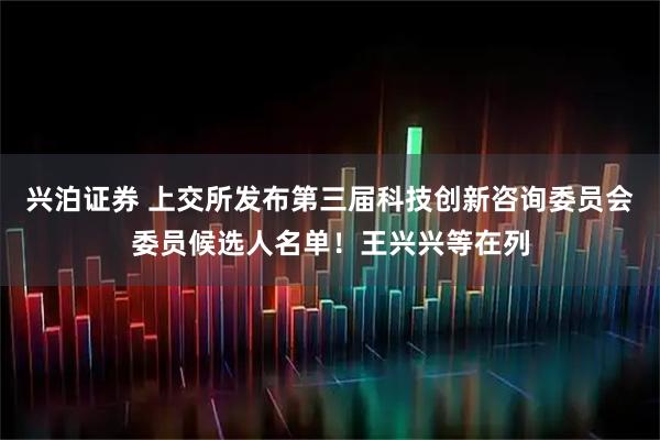 兴泊证券 上交所发布第三届科技创新咨询委员会委员候选人名单！王兴兴等在列
