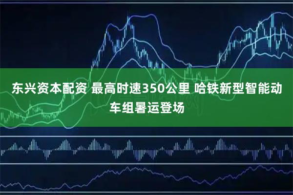 东兴资本配资 最高时速350公里 哈铁新型智能动车组暑运登场