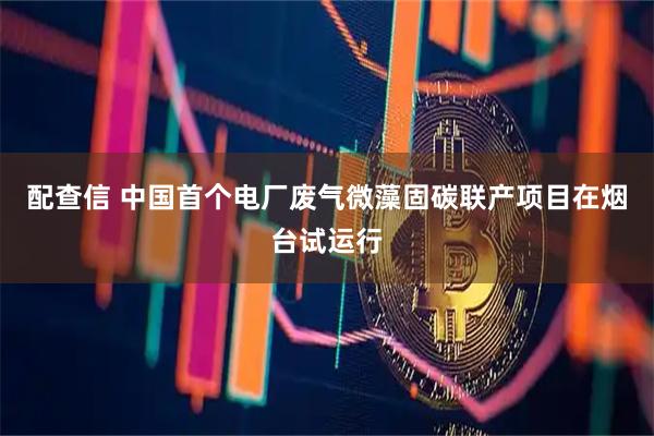 配查信 中国首个电厂废气微藻固碳联产项目在烟台试运行
