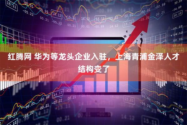 红腾网 华为等龙头企业入驻，上海青浦金泽人才结构变了